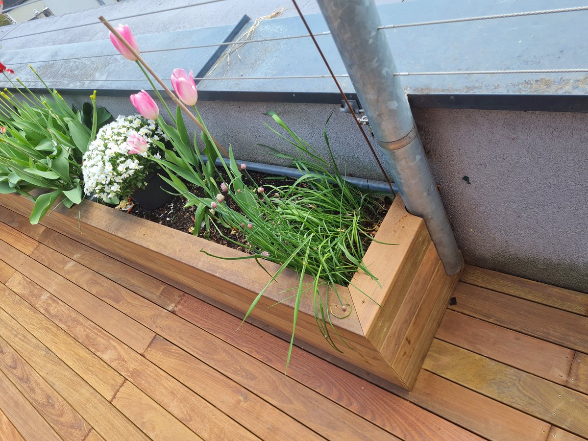 Detail der IPE Holzterrasse mit Pflanzbereich